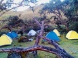 Camping Tour Cajas National Park