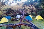Camping Tour Cajas National Park