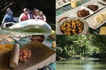 Safari Float + Traditional Food Tasting