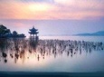 Hangzhou Highlights Private Day Tour with West Lake Boat Ride from Shanghai
