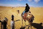 Photo session Tour to Giza pyramids with camel ride 