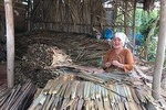 Luxury Mekong Tour: Ba Ton Bridge - Cai Be - Tan Phong with Cycling 