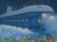 Atlantis Submarines Night Tour