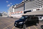Private Transfer Civitavecchia Rome