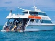 Poseidon Outer Great Barrier Reef Snorkeling and Diving Cruise from Port Douglas