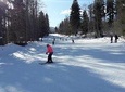 Full day tour to Borjomi Park and Bakuriani Skiing resort for Winter activities