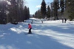 Full day tour to Borjomi Park and Bakuriani Skiing resort for Winter activities