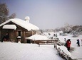 Small Group Tour to Harbin Volga Manor with Entrance Fee and Lunch