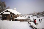 Small Group Tour to Harbin Volga Manor with Entrance Fee and Lunch