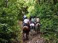 Horseback Riding to Conchal Beach - Optional Snorkeling