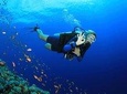 Discover Scuba diving with 2 dives on Koh Tao