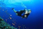 Discover Scuba diving with 2 dives on Koh Tao