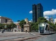 Private Walking Tour: Exploring Rio City Center by Foot