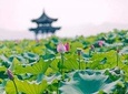 All-Inclusive Classic Private Hangzhou Day Trip from Shanghai by Bullet Train