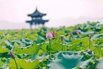All-Inclusive Classic Private Hangzhou Day Trip from Shanghai by Bullet Train