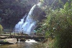 One Day Inthanon National Park & Trekking on Pha Dok Siew Nature Trail (Private)