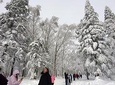 Private Transfer to China's Snow Town from Harbin City