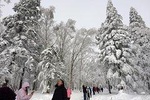 Private Transfer to China's Snow Town from Harbin City