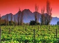 Cape Winelands & The Garden Route - 5 Days