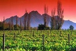 Cape Winelands & The Garden Route - 5 Days