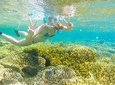 Dumaguete Apo Island Snorkeling Tour