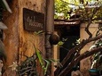 Hanoi Like a True Local Private Tour