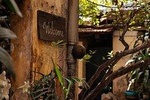 Hanoi Like a True Local Private Tour