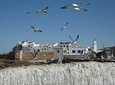 Day Trip From Marrakech To Essouira (Small Group)