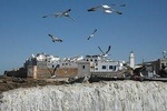 Day Trip From Marrakech To Essouira (Small Group)