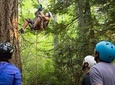 3 Day Canopy Tree Climbing Academy