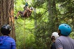 3 Day Canopy Tree Climbing Academy
