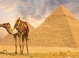 Half Day Tour Adventure for the Pyramids Sphinx 45 Minutes Camel Ride 