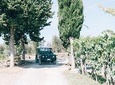 Off-Road Wine Tour in Chianti from Florence