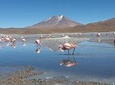 4 Days Uyuni Salt Flats with English Guide by Bus from La Paz