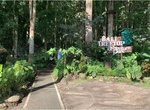 Have fun at Treetop Adventure Park, Bali, Indonesia
