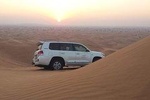 Morning Red Dune Desert Safari with Camel Ride
