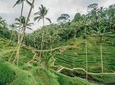 3 - Day Tour Package : The Best Iconic Bali