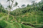 3 - Day Tour Package : The Best Iconic Bali