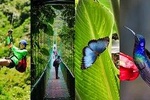 Monteverde Cloud Forest privateTour