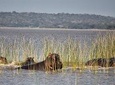 2-Day Maputo Special Reserve Guided Tour