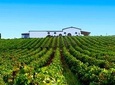 Cagliari: Full Day Wine Experience Private Tour with Lunch