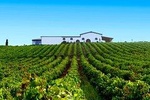 Cagliari: Full Day Wine Experience Private Tour with Lunch