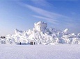 Group Tour to Harbin Snow Fair(Sun Island) and Siberian Tiger Park