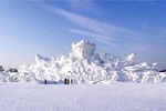 Group Tour to Harbin Snow Fair(Sun Island) and Siberian Tiger Park