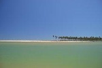 Costa de Camaçari Beach and Praia Tour
