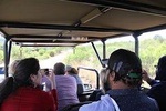 Full Day Ultimate Pilanesberg National Park Safari