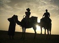Camel Exprience and magical dinner in Agafay desert