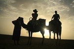 Camel Exprience and magical dinner in Agafay desert