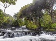 Day Trip from San Jose to Tabacon Hot Springs Resort & Spa