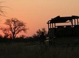 Morning Kruger National Park Safari